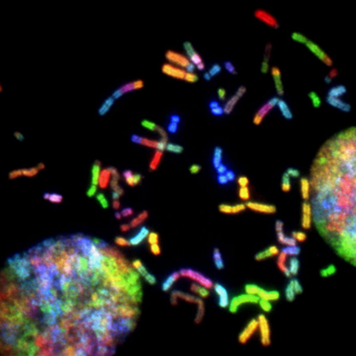 Cellular biology research microscopy