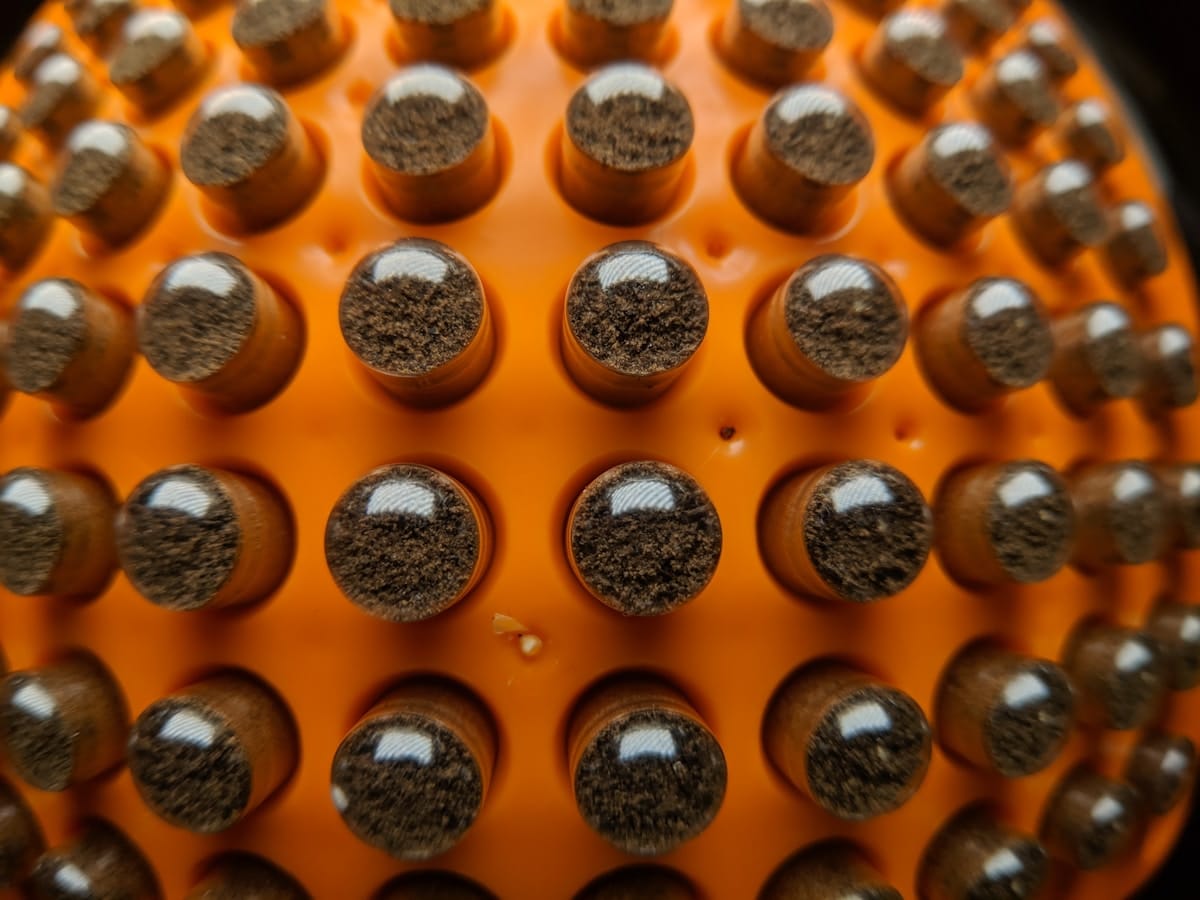 Sublingual Hold Time for EBC-46 Tincture: What Long-Term Users Report