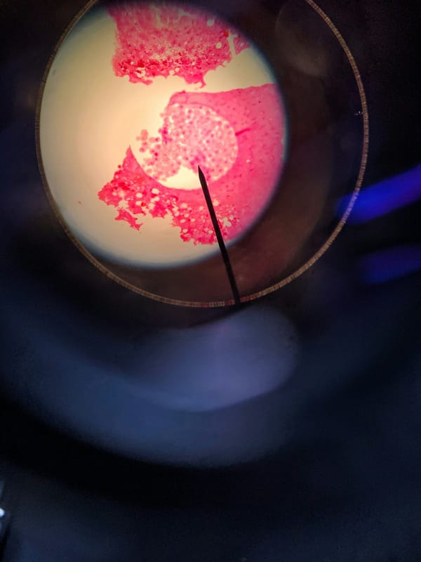 Laboratory microscope and cell biology research — mechanism of action context