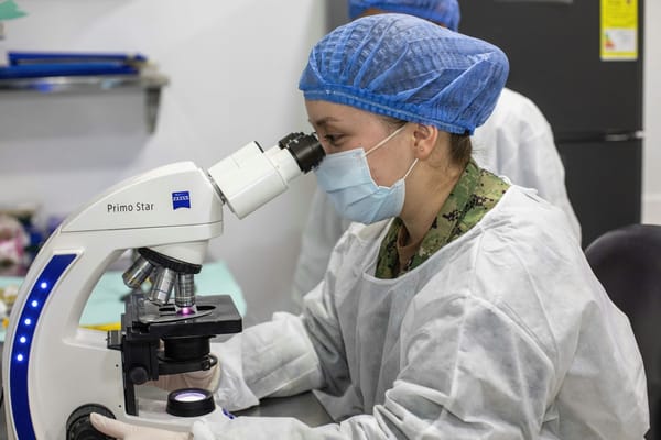Immunogenic Cell Death and DAMPs: How EBC-46 (Tigilanol Tiglate) Recruits the Immune System Against Tumours