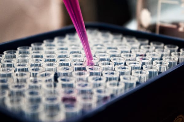 EBC-46 Supplement Evaluation 2026: Quality Markers, Safety, and Buyer Criteria