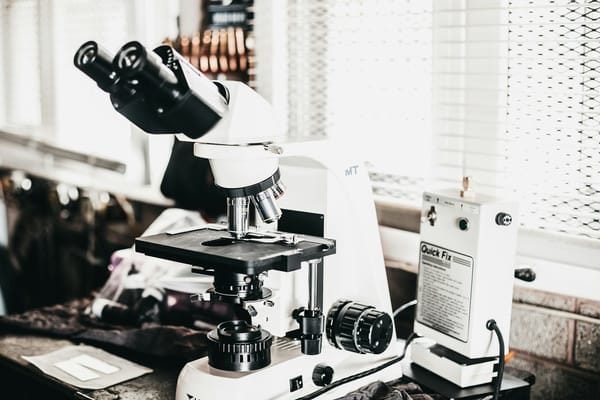 PKC Isoform Selectivity: How Tigilanol Tiglate Distinguishes Between Protein Kinase C Subtypes