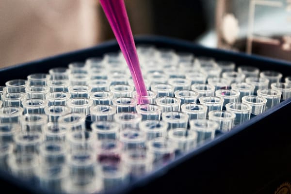 Pharmacokinetic Monitoring in Tigilanol Tiglate Phase I Trials: EBC-46 Drug Metabolism Considerations