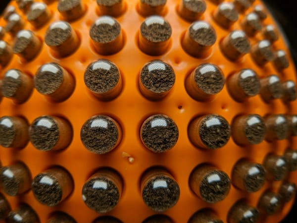 Tincture vs Capsule: How Blushwood Berry Extract Delivery Format Affects User Experience